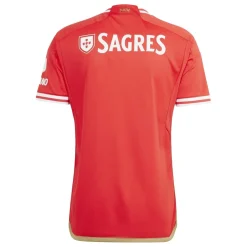 Football And Rugby Clothing*adidas Benfica T in Red