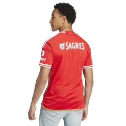 Football And Rugby Clothing*adidas Benfica T in Red