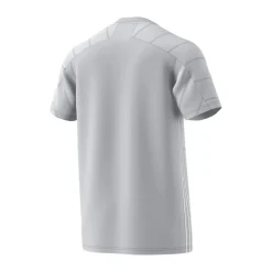 Football And Rugby Clothing*adidas Campeon 21 in Grey