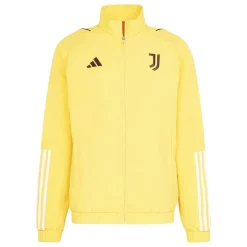 Tracksuits*adidas High Neck Regular Fit Athletic Top in Gold