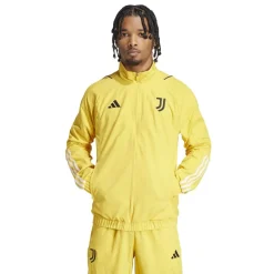 Tracksuits*adidas High Neck Regular Fit Athletic Top in Gold