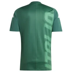 Football And Rugby Clothing*adidas Italy Pre Match Shirt 2024 Adults in Green