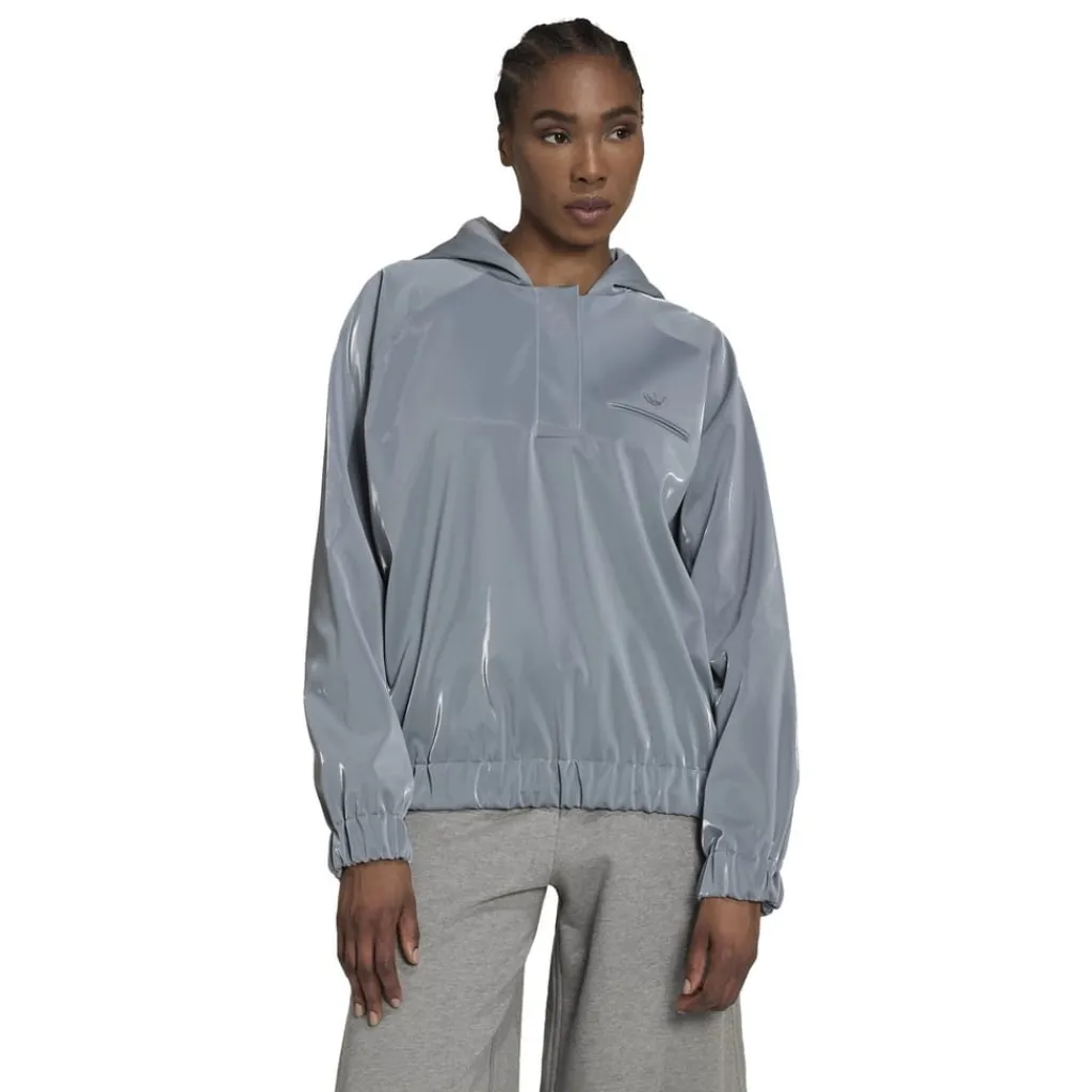 Sweatshirts*adidas Originals Hooded Relaxed Fit Long Sleeve Sweatshirt in Grey