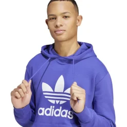 Hoodies*adidas Originals Trefoil Hoody in Blue