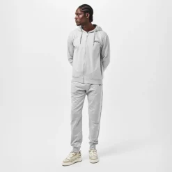 Hoodies*Aquascutum Zf Hoody in Grey