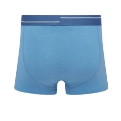 Underwear And Socks*Ben Sherman Lucian Trunk in Blue