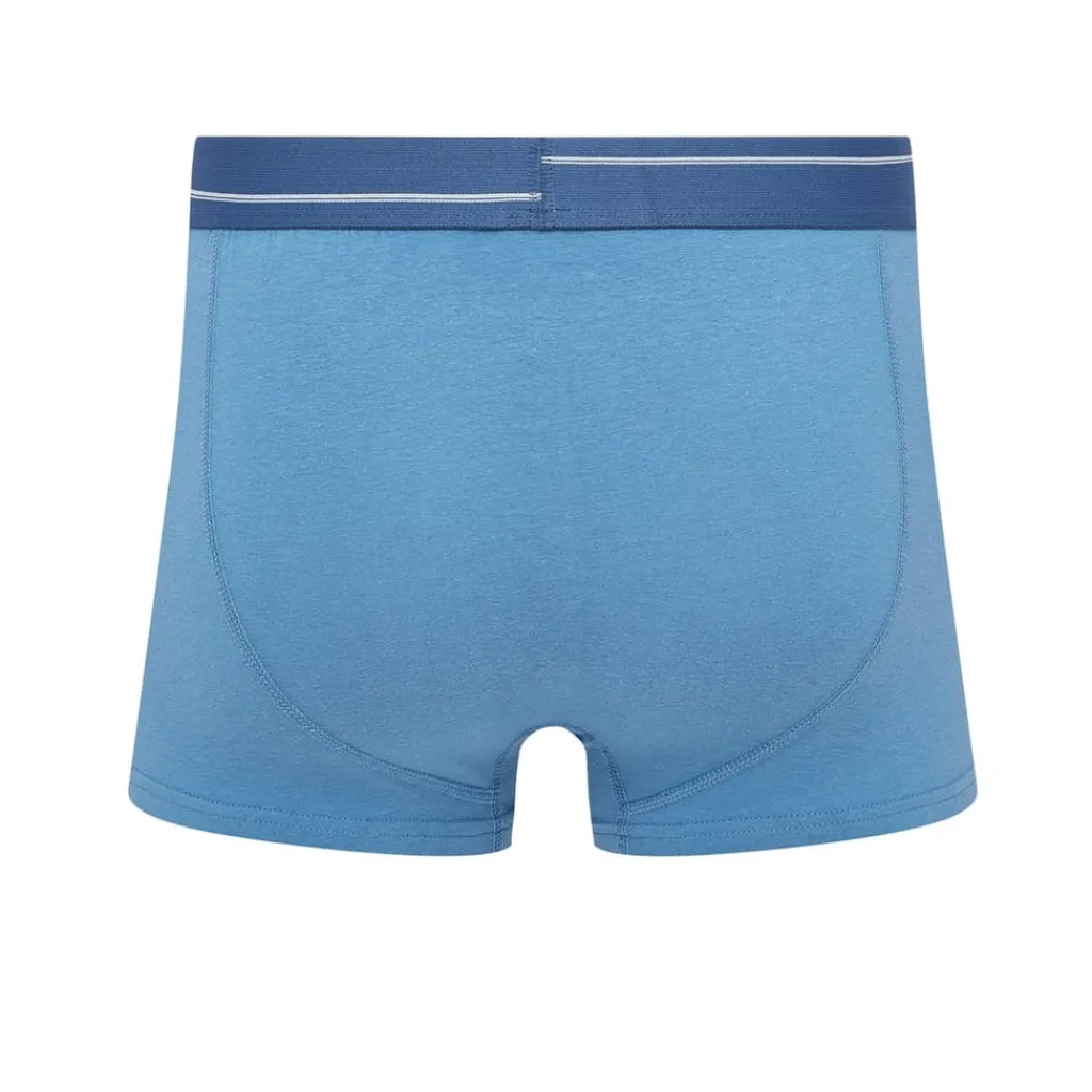 Underwear And Socks*Ben Sherman Lucian Trunk in Blue