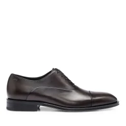 Shoes*Boss Derrek Oxford Shoes in Brown