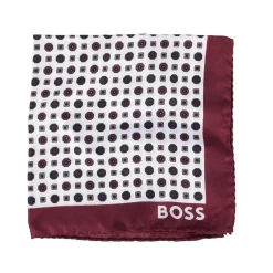 Assorted|Formalwear*Boss Pocket Square in Natural