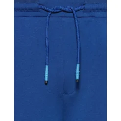 Shorts*Boss Regular Fit Shorts in Blue