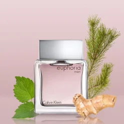 Mens Fragrance*Calvin Klein Ginger Euphoria Eau de Toilette 100ml in Clear