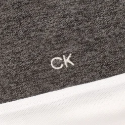 Polo Shirts*Calvin Klein Golf Block Polo Shirt in Multi