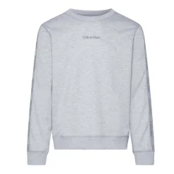 Sweatshirts*Calvin Klein Pullover Sweatshirt in Grey