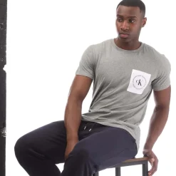 T-Shirts And Vests*Calvin Klein Round Logo Pocket T-Shirt in Grey
