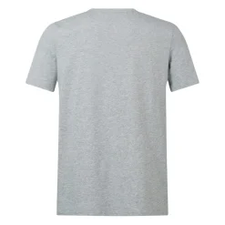 Fitness And Gym Tops*Canterbury British And Irish Lions Monument T-Shirt 2024 Adults in Grey