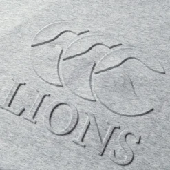Fitness And Gym Tops*Canterbury British And Irish Lions Monument T-Shirt 2024 Adults in Grey