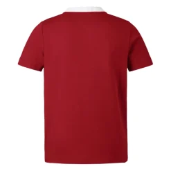 Fitness And Gym Tops*Canterbury British And Irish Lions Classic Shirt 2024 Adults in Red