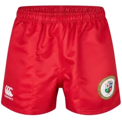 Fitness And Gym Tops|Fitness And Gymwear*Canterbury Mens British And Irish Lions Shorts 2025 in Red