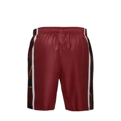 Fitness And Gymwear|Fitness And Gym Shorts*Canterbury Queensland Reds Gym Shorts 2025 Adults in Blue