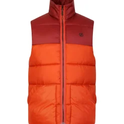 Coats And Jackets*Dare 2b City Padded Insulated Gilet in Orange