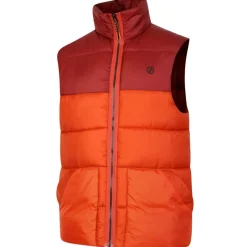 Coats And Jackets*Dare 2b City Padded Insulated Gilet in Orange