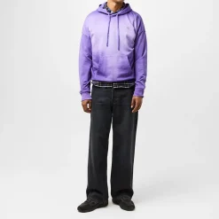 Hoodies*Diesel S Rob Hood R2 Sn52 in Purple