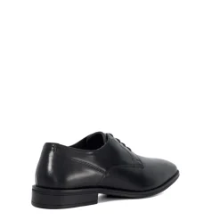 Shoes*Dune London Derby Shoes in Black