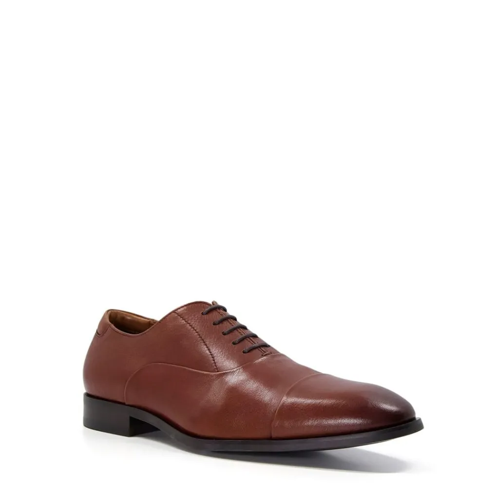 Shoes*Dune London Shoes in Brown