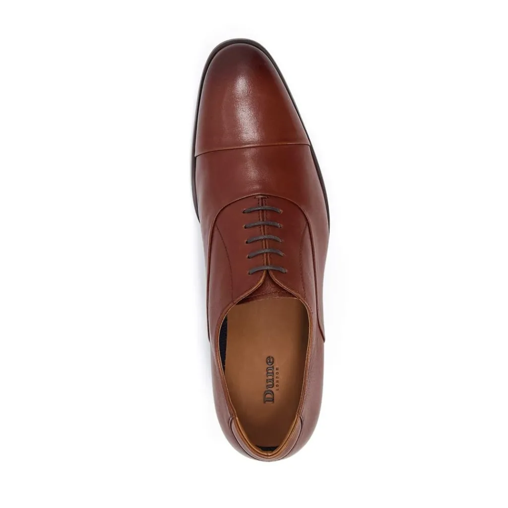 Shoes*Dune London Shoes in Brown