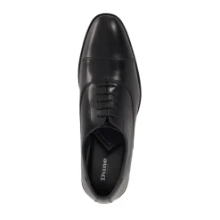 Shoes*Dune London Steffon Oxford in Black
