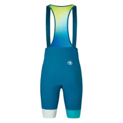 Fitness And Gym Shorts*Endura Loop Bib Shorts in Blue