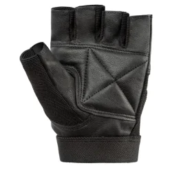 Gloves-Scarves-Umbrellas*Everlast Leather Fitness Gloves in Black