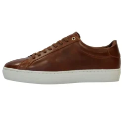 Trainers*Firetrap Franck Low Top Sneakers in Brown
