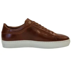 Trainers*Firetrap Franck Low Top Sneakers in Brown