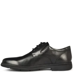 Shoes*Geox Federico Oxfords in Black