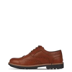 Shoes*Giorgio Mens Webster Shoes in Brown