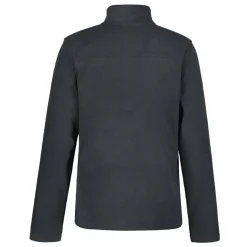 Sweatshirts*Icepeak Maxwell Full-Zip Fleece in Grey