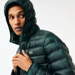 Coats And Jackets*Lacoste Bh0539 Pffr in Green