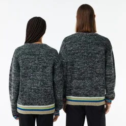 Knitwear*Lacoste Crew Neck Regular Fit Long Sleeve Sweater in Multi