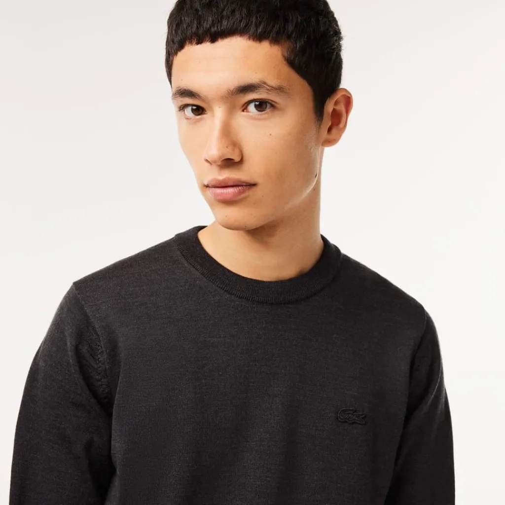 Knitwear*Lacoste Crew Neck Regular Fit Sweater in Black