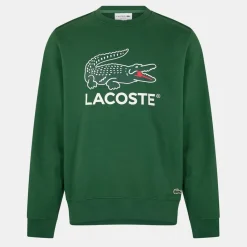 Knitwear*Lacoste Sweatshirt in Green