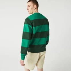 Sweatshirts*Lacoste Tennis Design Striped Crewneck Sweatshirt in Green