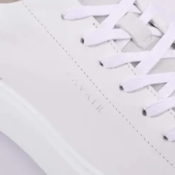 Trainers|Footwear*Lavair Luna Trainers in White