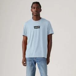 T-Shirts And Vests*Levis Classic Graphic T-Shirt in Light Blue