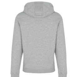 Hoodies*Lyle And Scott Basic Logo Hoodie in Grey