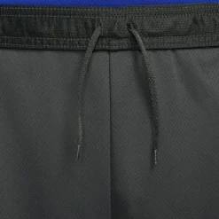 Shorts*Nike Barcelona Strike Third Shorts Adults in Grey