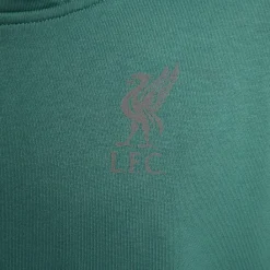 Tracksuits*Nike Mens Fc Tech Pack Therma Fit Winterized Top in Green