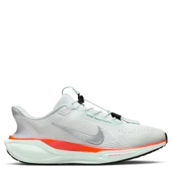 Running Shoes*Nike Mens Pegasus Easyon Road Running Shoes in Multi