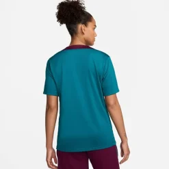 Football And Rugby Clothing*Nike Paris Saint Germain Strike Top 2024 2025 Adults in Green
