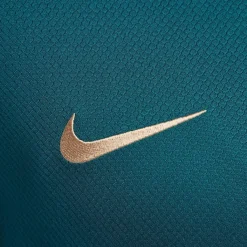 Football And Rugby Clothing*Nike Paris Saint Germain Strike Top 2024 2025 Adults in Green